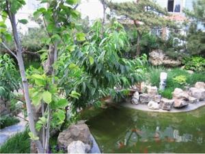 無錫景觀設(shè)計(jì)